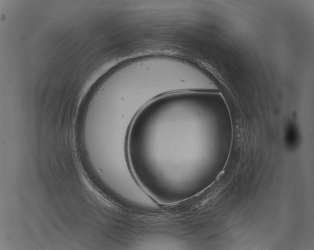 X0000067870726200604271735