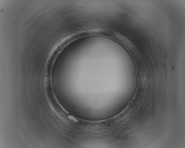 X0000067870728200604271735