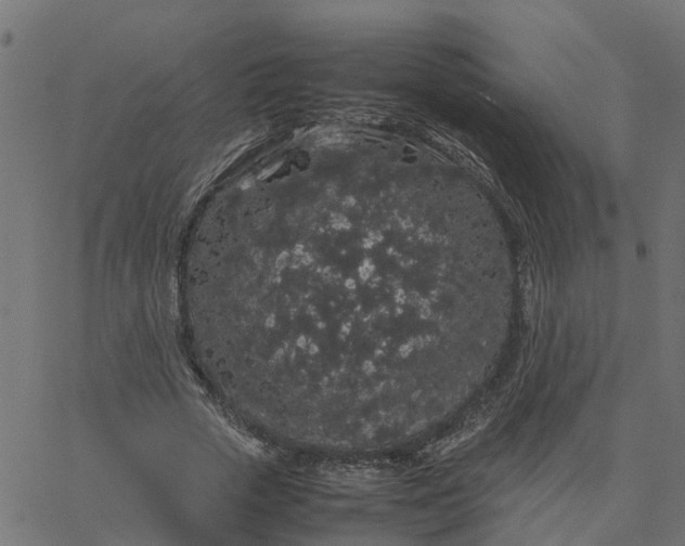 X0000067870729200604271735