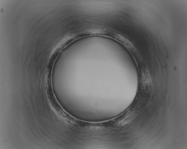 X0000067870730200604271735