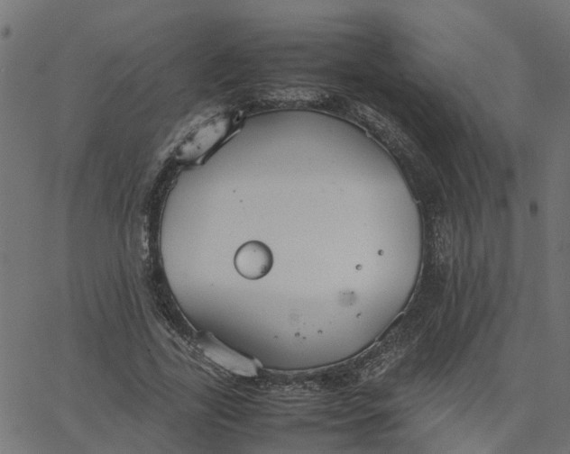 X0000067870731200604271735