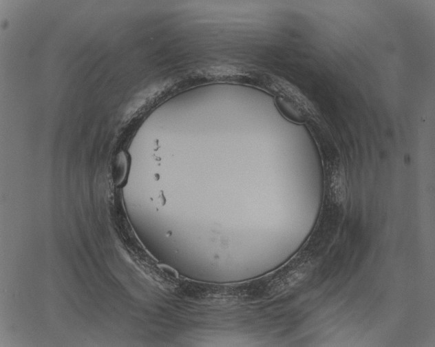 X0000067870732200604271735