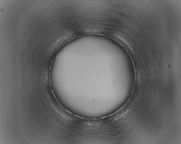 X0000067870733200604271735