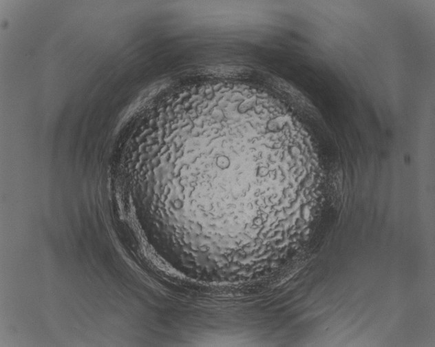 X0000067870734200604271735