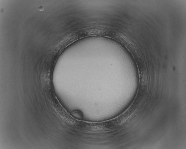 X0000067870737200604271735