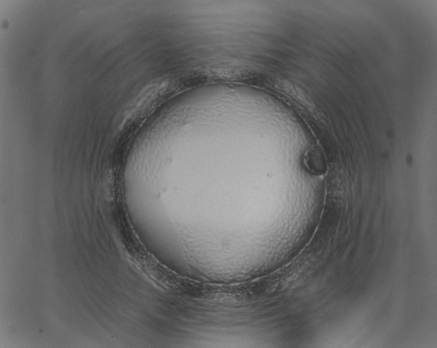 X0000067870738200604271735