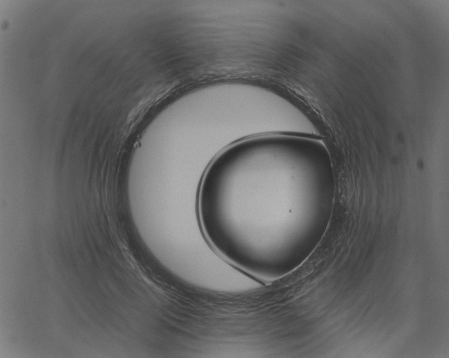 X0000067870740200604271735