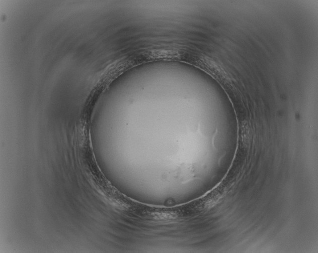 X0000067870741200604271735