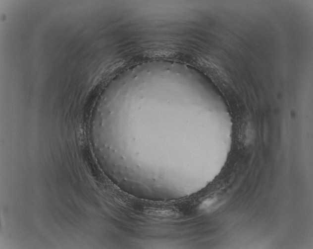 X0000067870743200604271735