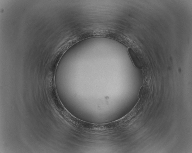 X0000067870744200604271735