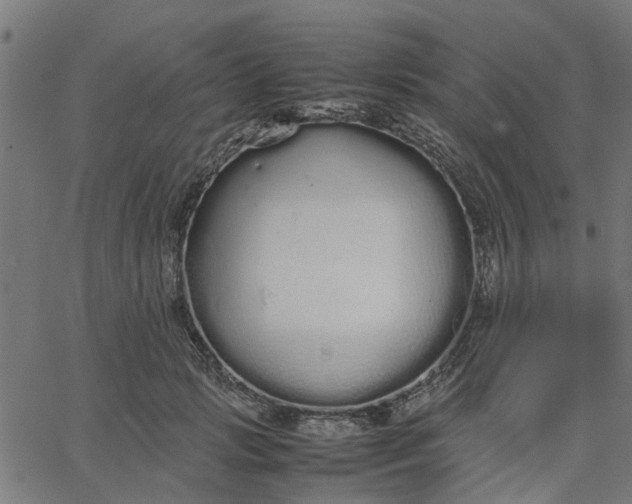 X0000067870749200604271735