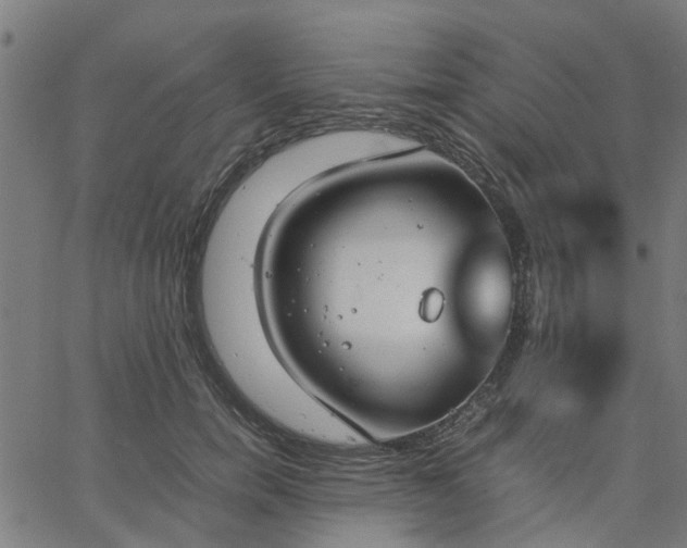 X0000067870750200604271735