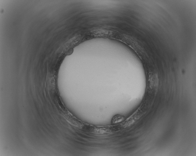 X0000067870753200604271735