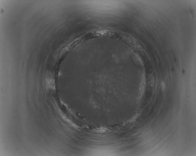 X0000067870754200604271735