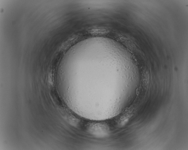 X0000067870755200604271735