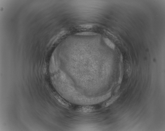 X0000067870758200604271735