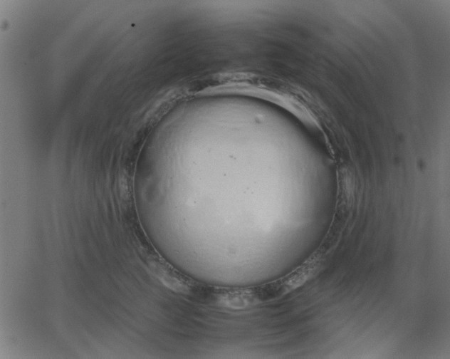 X0000067870761200604271735