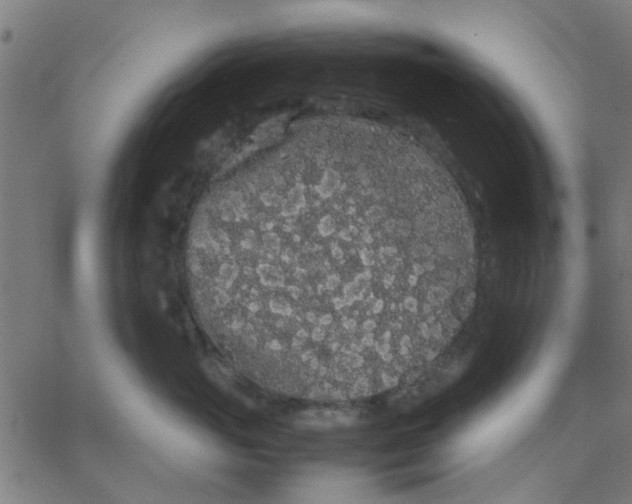 X0000067870765200604271736