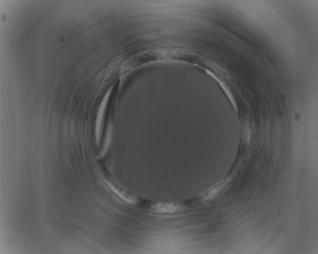 X0000067870766200604271736