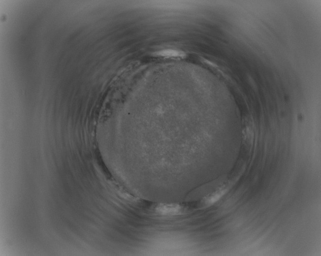 X0000067870767200604271736