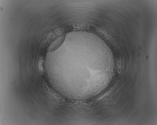 X0000067870770200604271735