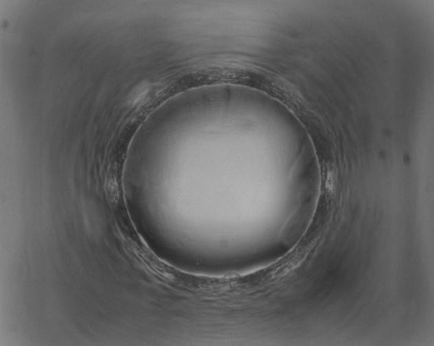 X0000067870771200604271735