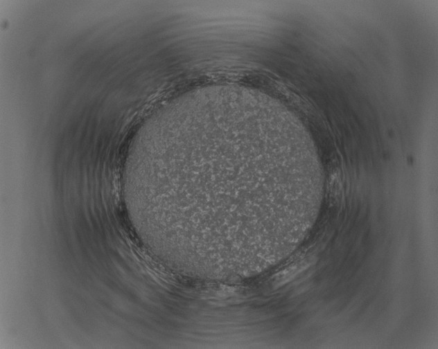 X0000067870772200604271735