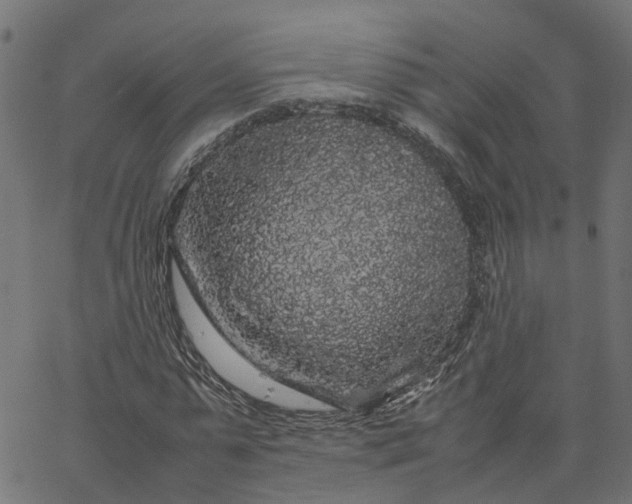 X0000067870775200604271735