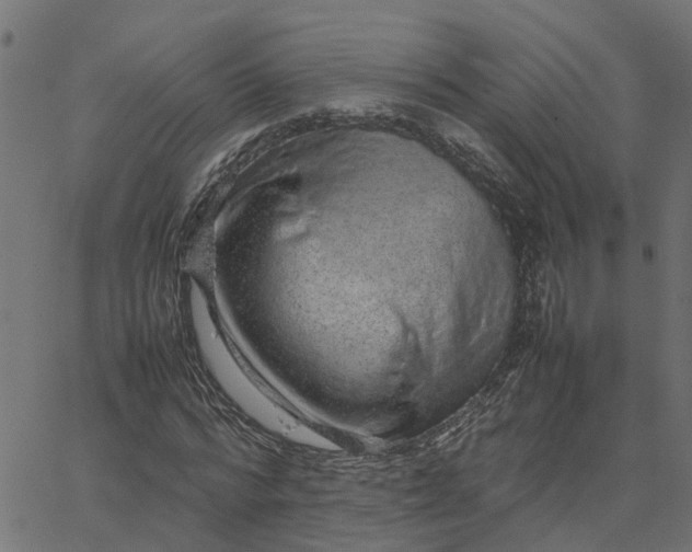 X0000067870776200604271735