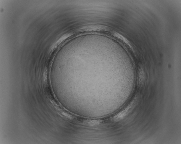 X0000067870778200604271735