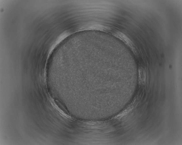 X0000067870780200604271735