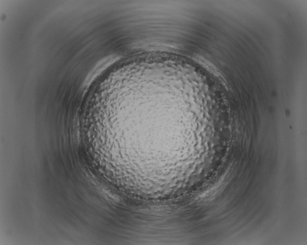 X0000067870782200604271735