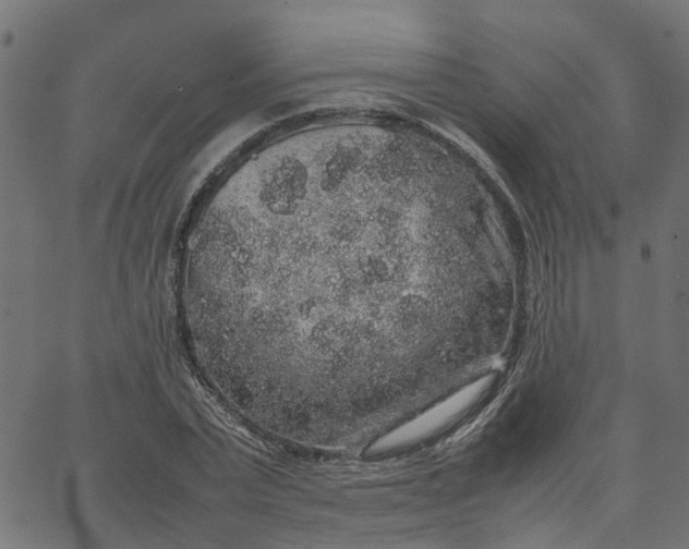 X0000067870783200604271735