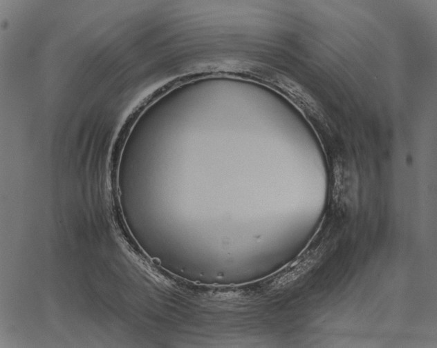 X0000067870784200604271735