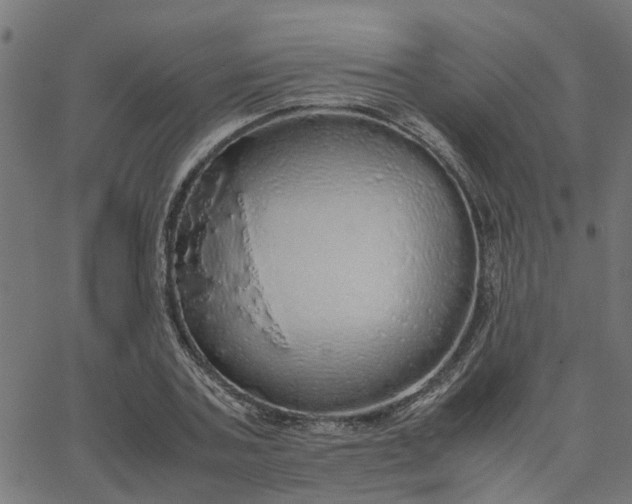 X0000067870787200604271734