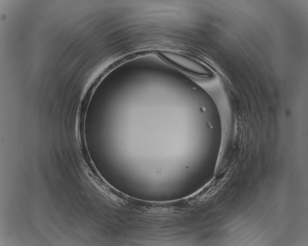 X0000067870788200604271734