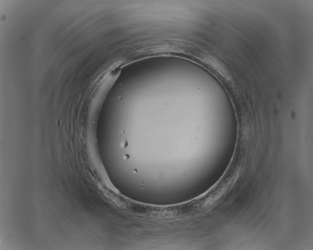 X0000067870793200604271734