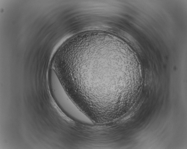 X0000067870796200604271734