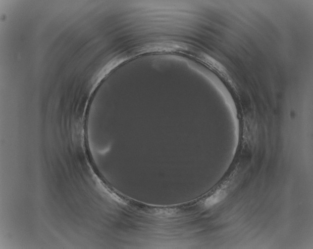 X0000067870802200604271734