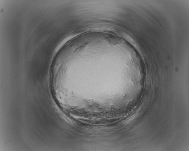 X0000067870803200604271734