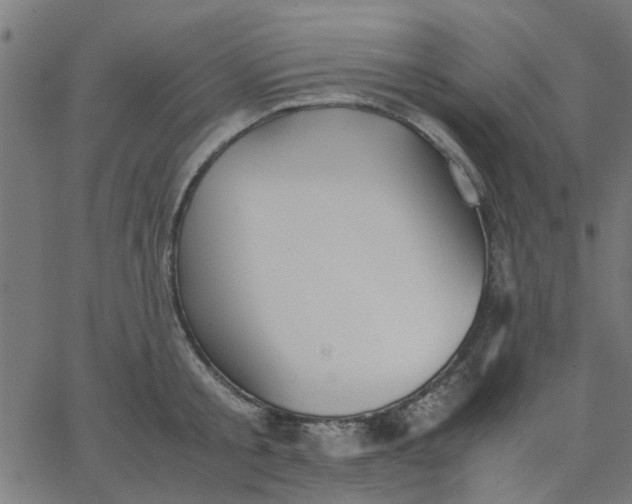 X0000067870805200604271734