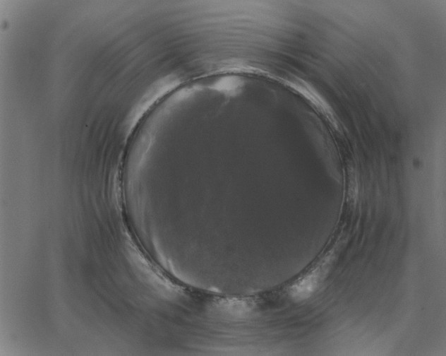 X0000067870806200604271734