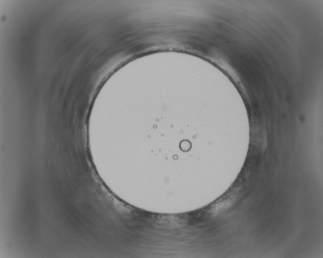 X0000067870807200604271734