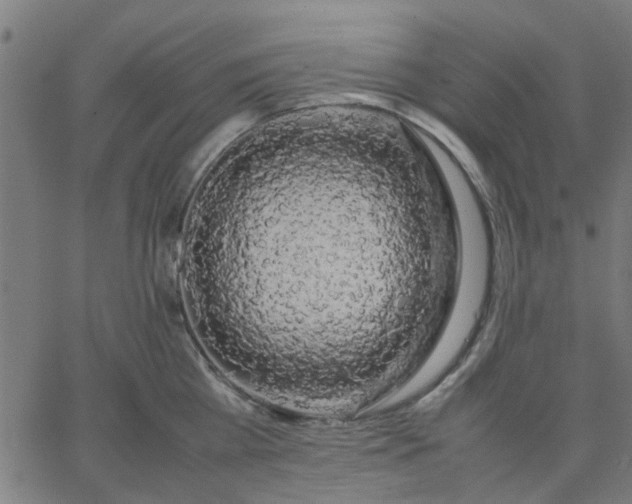 X0000067870809200604271734