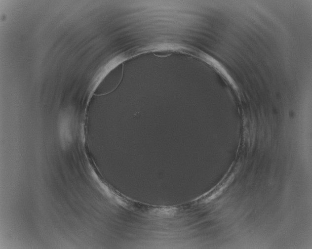 X0000067870810200604271734