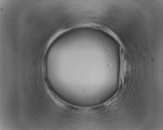 X0000067870811200604271734