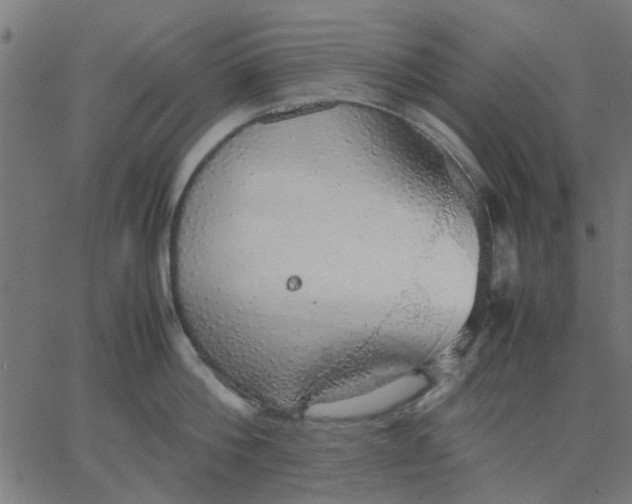 X0000067870812200604271734