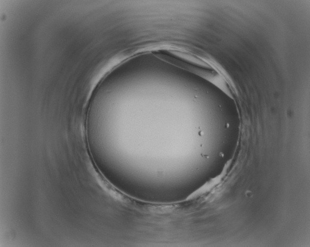 X0000067870813200604271734