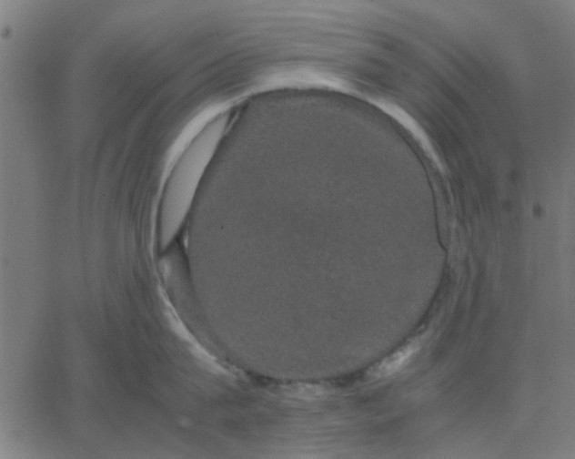 X0000067870815200604271734