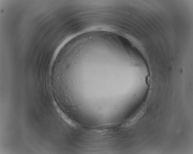 X0000067870816200604271734